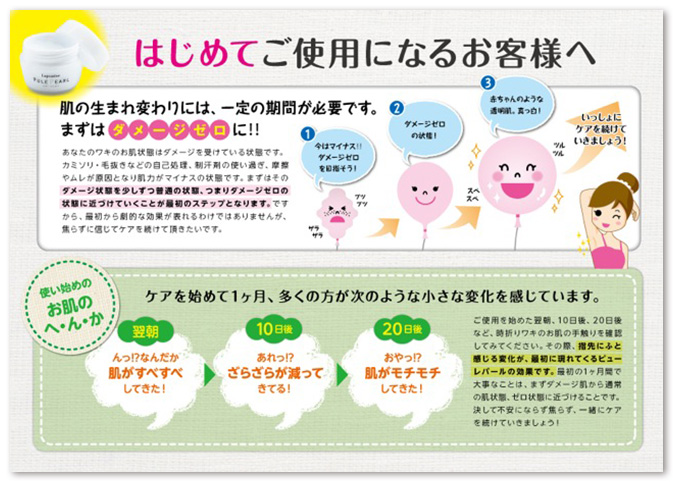 株式会社ハーバーリンクスジャパン チラシ